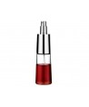 Vaporisateur de vinaigre en inox